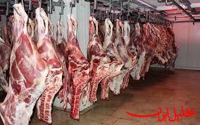  تحلیل ایران -سینگال مثبت واردات گوشت گرم برای تنظیم بازار در دولت شهید رئیسی