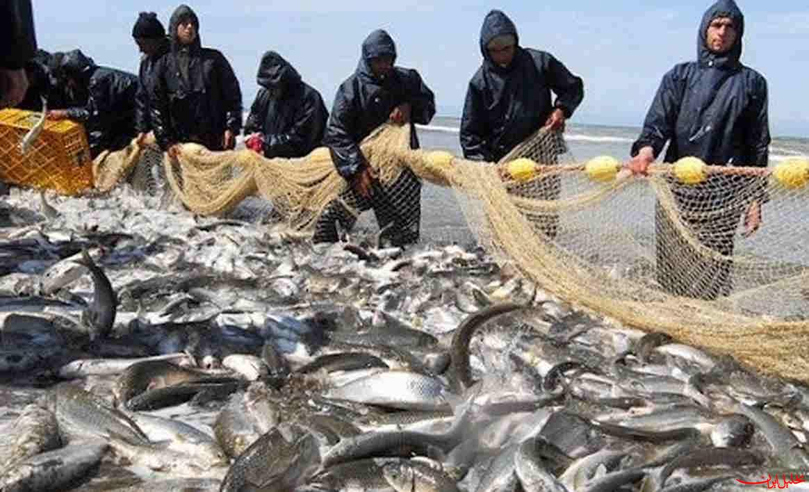  تحلیل ایران -احیای طرح راکد برای تولید ۴۰۰ تن ماهی در دیواندره