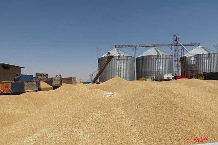  تحلیل ایران -خرید ۴ میلیون و ۸۷۴ هزار تن گندم در هفته گذشته