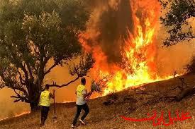  تحلیل ایران -آتش سوزی نزدیک منطقه حفاظت شده «نئور» مهار شد