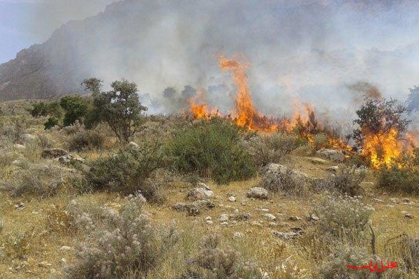  تحلیل ایران -آتش سوزی منطقه ازارک چالوس ادامه دارد