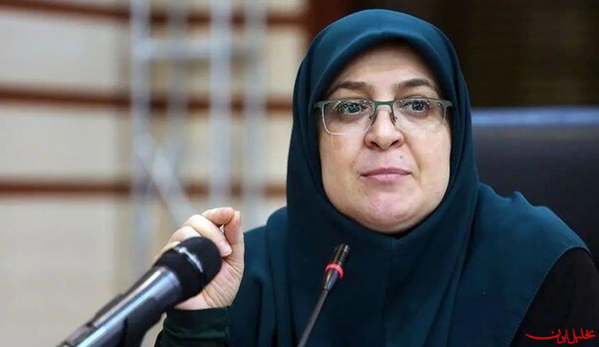  تحلیل ایران -سخنگوی دولت: مذاکره مطلوب ایران، گفت‌وگوی دقیق و بدون هیاهو است