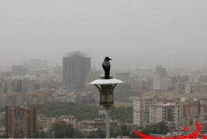  تحلیل ایران -صدور هشدار هواشناسی؛ تشدید آلودگی هوا در مناطق مرزی کشور