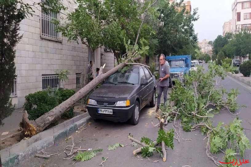  تحلیل ایران -از ۸۳۳ مورد سقوط درخت طی روز گذشته تا سه روز آماده‌باش برای توفان