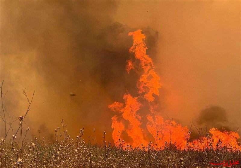  تحلیل ایران -آتش سوزی‌های گسترده سرتاسر فلسطین اشغالی را فرا گرفته است