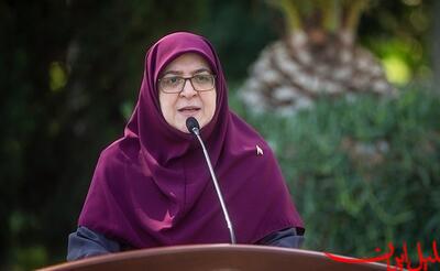  تحلیل ایران -مهاجرانی: بخش خصوصی ۲۷۶ میلیارد به آسیب‌دیدگان بندر رجایی کمک کرد