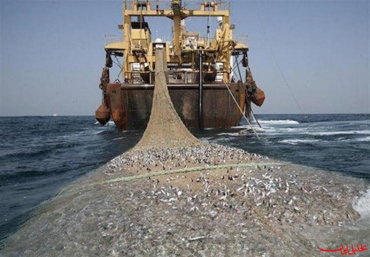  تحلیل ایران -نگاهی بر تهدیدات ذخایر آبزیان خلیج‌ فارس
