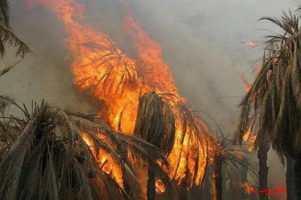  تحلیل ایران -مهار آتش سوزی در جنگل‌های روستای قائم آباد در سندرک