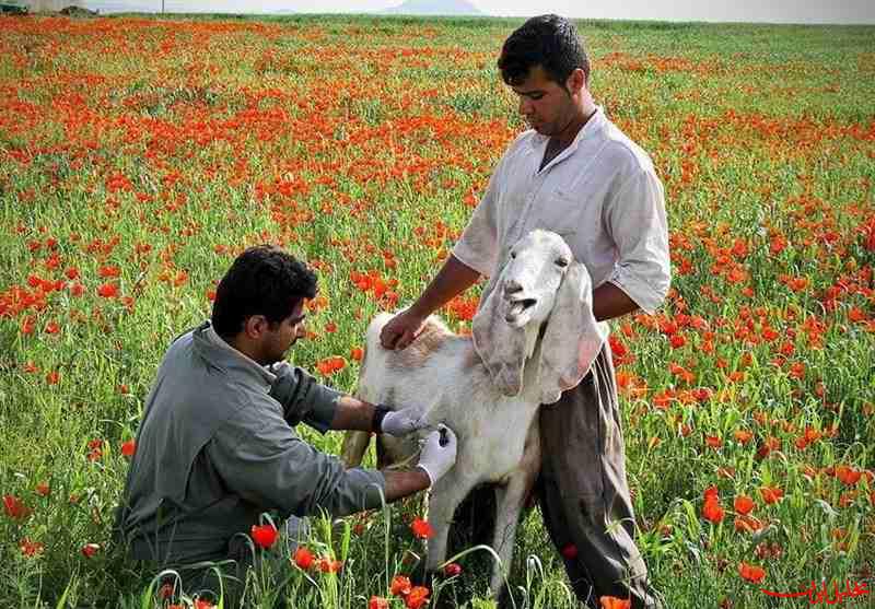  تحلیل ایران -نتیجه ۵ سال تحقیق دانشمندان هسته‌ای