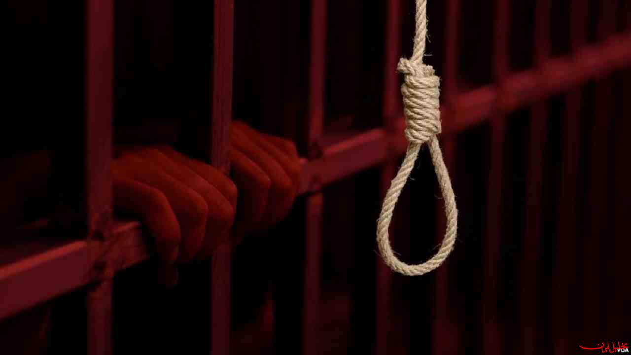  تحلیل ایران -حکم اعدام عامل قتل دختر بچه بوکانی در ملأ عام اجرا شد