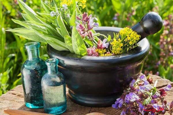  تحلیل ایران -توسعه کشت گیاهان دارویی؛ راهکاری موثر برای کاهش مصرف آب