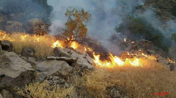 مهار کامل آتش‌سوزی در منطقه حفاظت‌شده شاهو و کوسالان