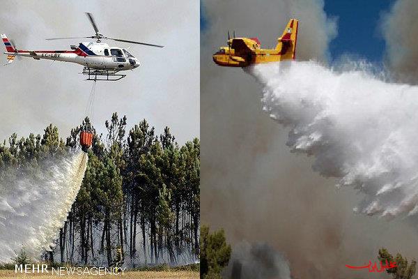  تحلیل ایران -بلوط‌های ایلام در نبود تجهیزات سوختند