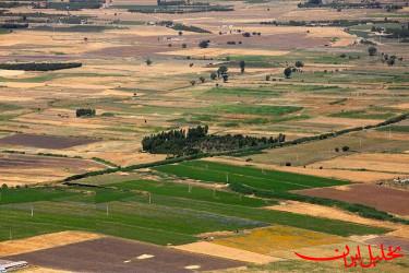  تحلیل ایران -واگذاری قسطی ۱۵هکتار اراضی ملی شمیرانات به‌قیمت ۱۵میلیون تومان