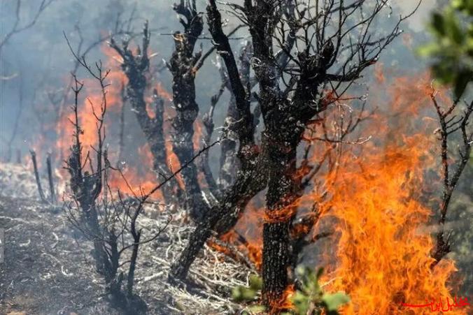  تحلیل ایران -وقوع آتش‌سوزی در جنگل‌های دراکین چالوس