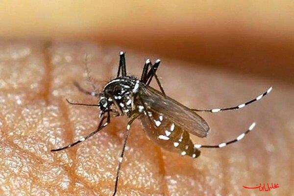 احتمال ثبت مرگ‌ومیر با تب دنگی