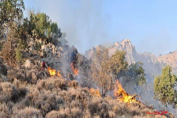  تحلیل ایران -آتش‌سوزی گسترده در باغات پُشته معزآباد رودان مهار شد