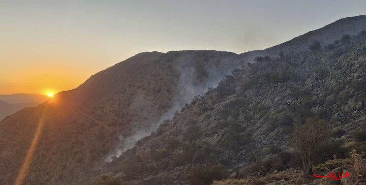  تحلیل ایران -۸ فناوری‌ نوظهور برای کاهش ریسک آتش‌سوزی‌های جنگلی