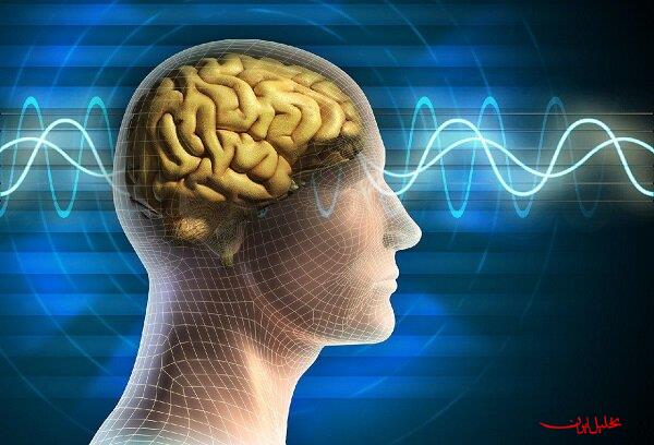 تحلیل ایران -خواندن سیگنال‌های پنهان مغز با فناوری جدید محقق ایرانی