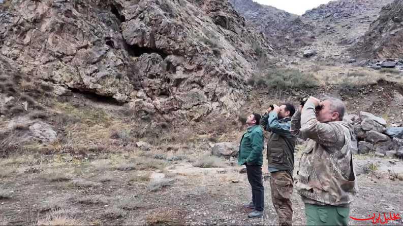  تحلیل ایران -انجام سرشماری پستانداران و سم داران پناهگاه حیات وحش کیامکی