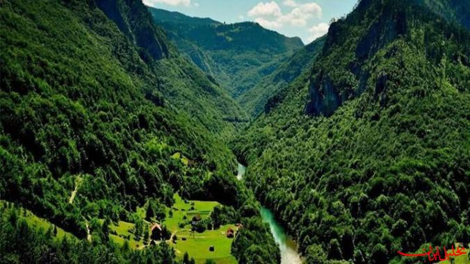  تحلیل ایران -پایدار: جنگل‌های هیرکانی هویت فرهنگی و میراث ملی است