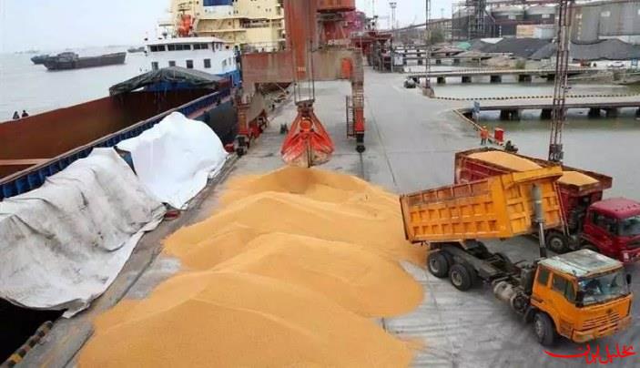  تحلیل ایران -جهاد کشاورزی: ۴ میلیون تن نهاده دامی از بنادر کشور ترخیص شده است 