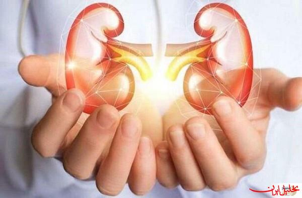  تحلیل ایران -سلامت مغز با عملکرد کلیه‌ها مرتبط است