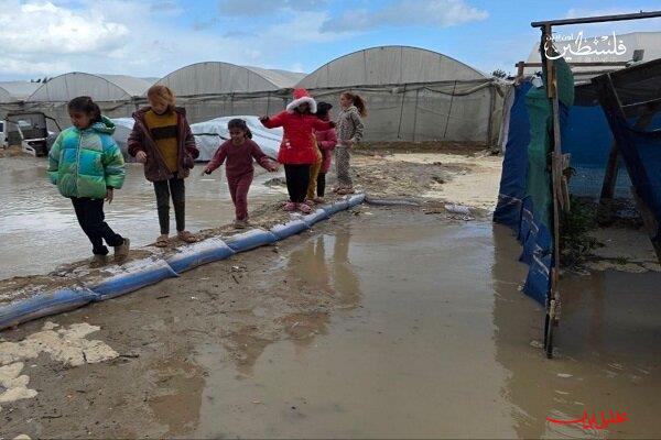  تحلیل ایران -ادامه نقض آتش بس در غزه