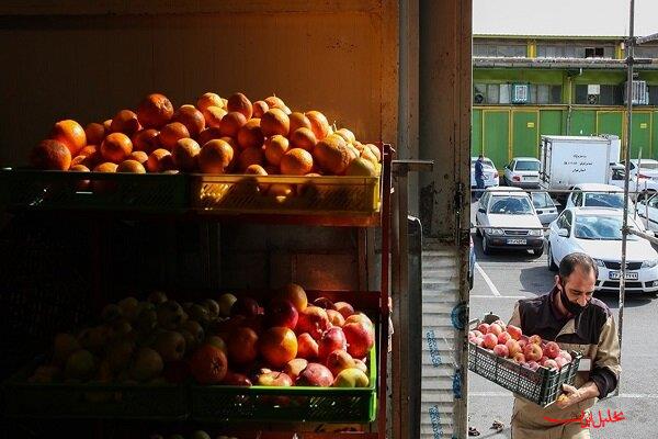  تحلیل ایران -فعالیت نیمه‌وقت همه میادین و بازارهای میوه و تره‌بار در نیمه شعبان
