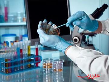  تحلیل ایران -رصد جهش ژنتیکی در فرزندان پاکسازی‌کنندگان حادثه چرنوبیل