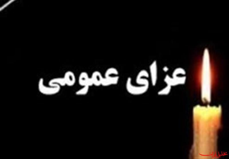  تحلیل ایران -هیئت دولت ۴۰ روز عزای عمومی و ۷ روز تعطیلی اعلام کرد