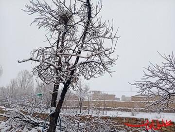  تحلیل ایران -تشدید بارش برف و باران در اکثر نقاط کشور