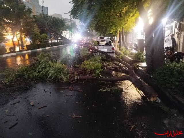  تحلیل ایران -اورژانس: طوفان در تهران چهار مصدوم بر جا گذاشت
