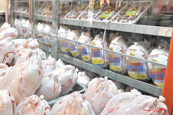  تحلیل ایران -تولایی: روند قیمت مرغ در مازندران کاهشی است