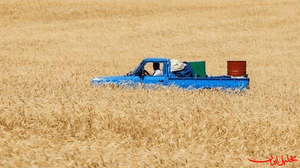  تحلیل ایران -پرداخت غرامت‌های تأییدشده کشاورزان هفتگی شد
