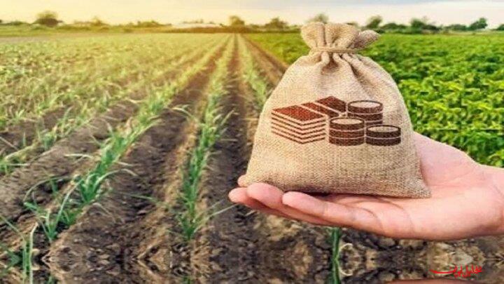  تحلیل ایران -سند راهبردی صندوق بیمه کشاورزی در افق ۱۴۱۰ رونمایی شد