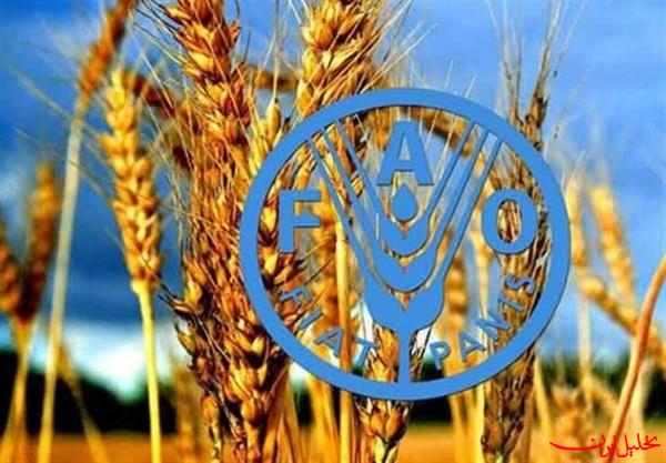  تحلیل ایران -افزایش ۲ درصدی قیمت جهانی مواد غذایی در سایه جنگ علیه ایران