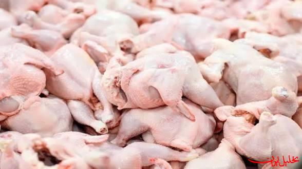  تحلیل ایران -خرید حمایتی گوشت مرغ از فردا آغاز می‌شود
