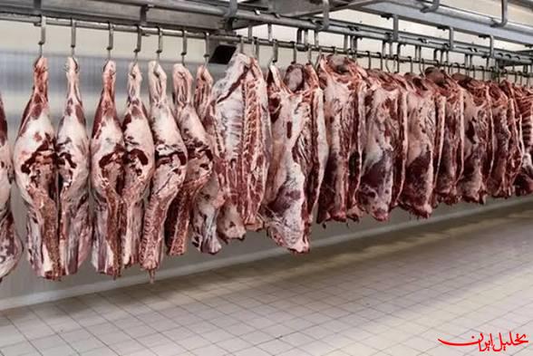  تحلیل ایران -کاهش ۳ درصدی عرضه گوشت طیور در مرداد ماه ۱۴۰۵