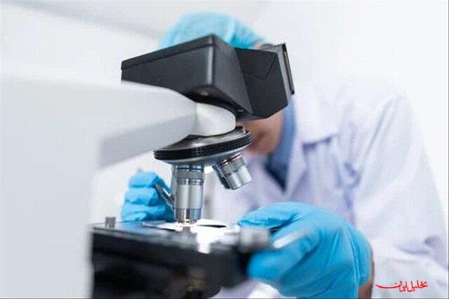  تحلیل ایران -استفاده از قارچ خوراکی برای تبدیل پسماندهای صنعتی به محصولات باارزش