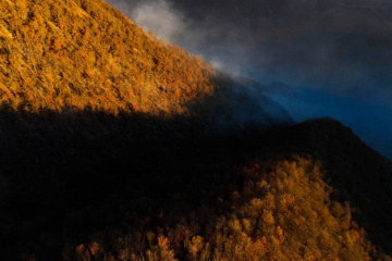 مهار آتش‌سوزی جنگل الیت